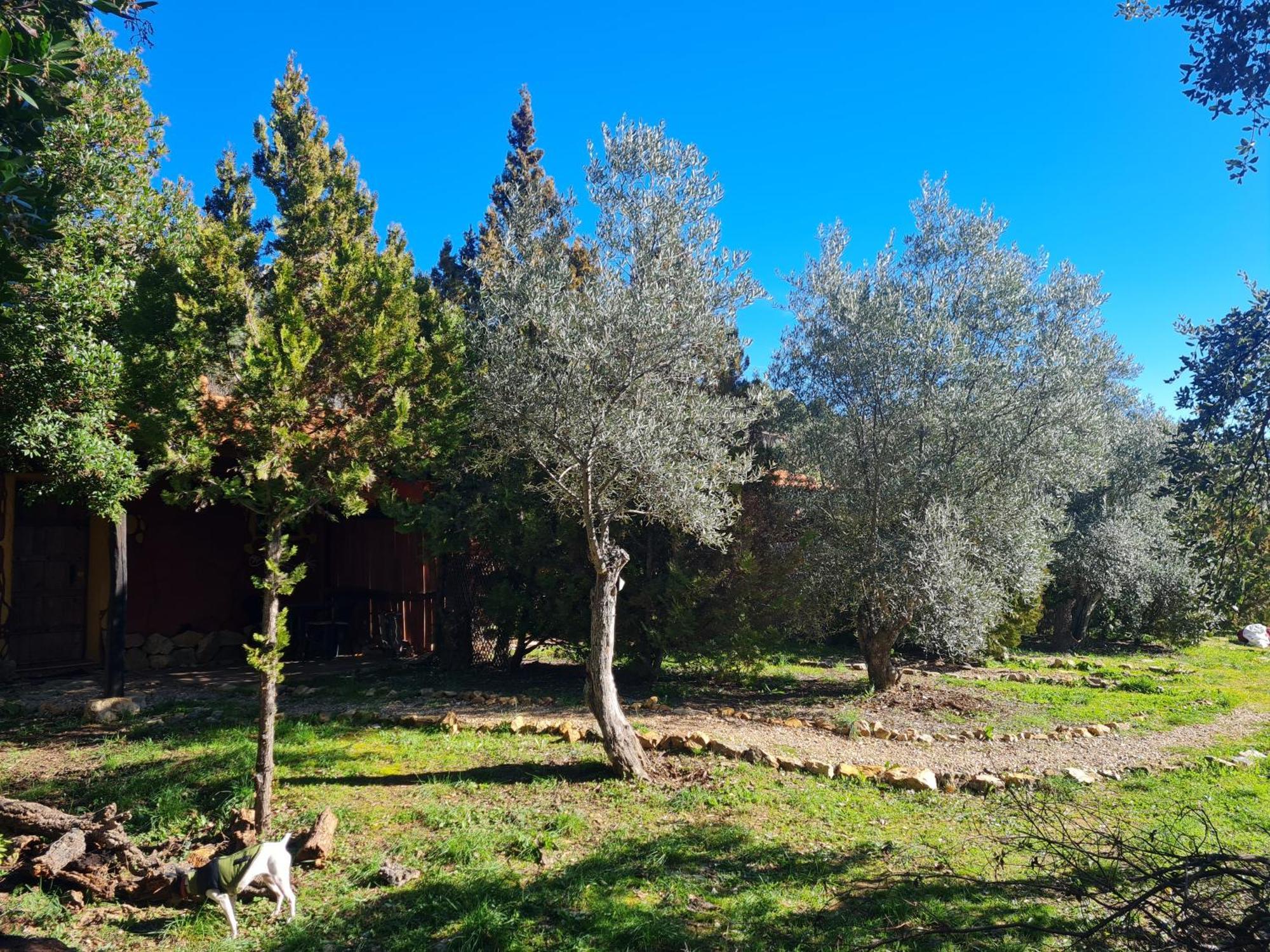 Apartamentos Rurales Candela Cañamero Zewnętrze zdjęcie
